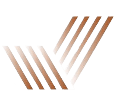 Taneek Logo